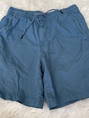 Patagonia Blue Men’s Flat Front Drawstring Shorts